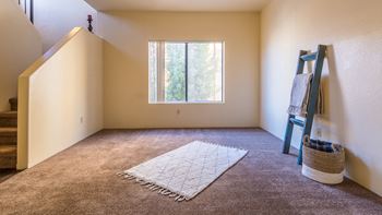 Camino Seco Village apartment with carpet flooring